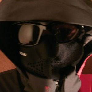 Meet your Posher, Gabriel